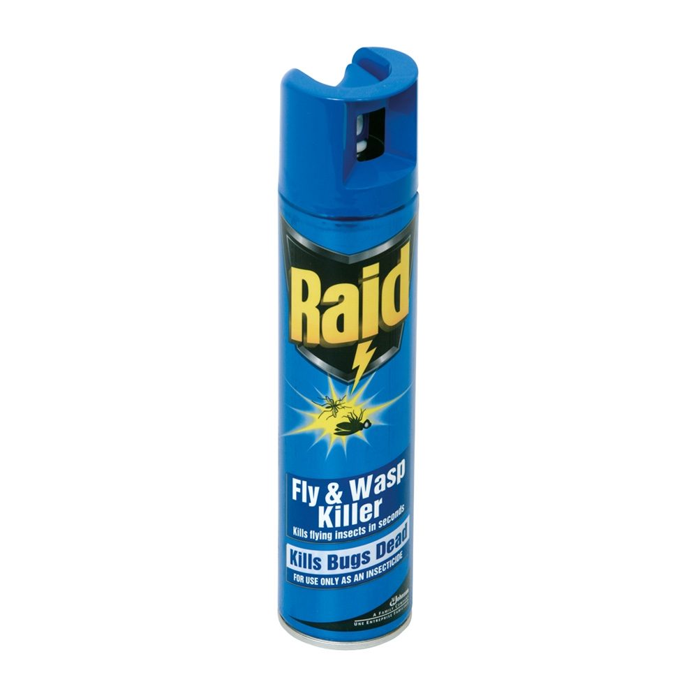 Raid Fly and Wasp Killer - 300ml